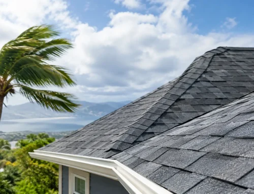 Best Shingles for Windy Climates That Hold